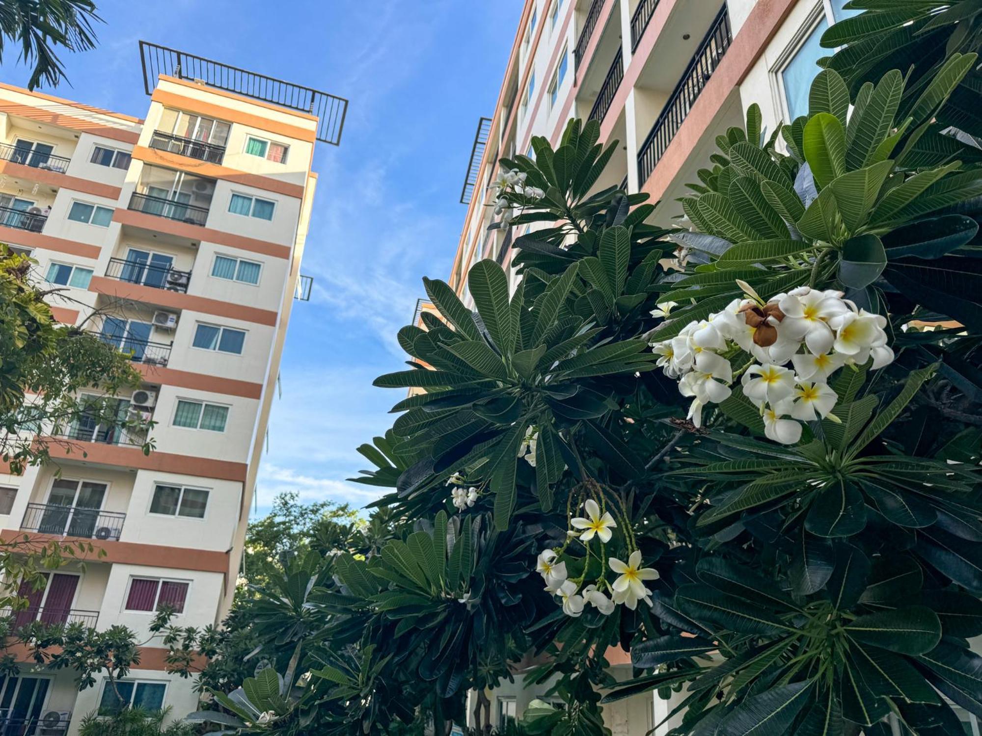 卧室直达泳池 全网最低价 到中天海滩5分钟 Bãi biển Jomtien Ngoại thất bức ảnh