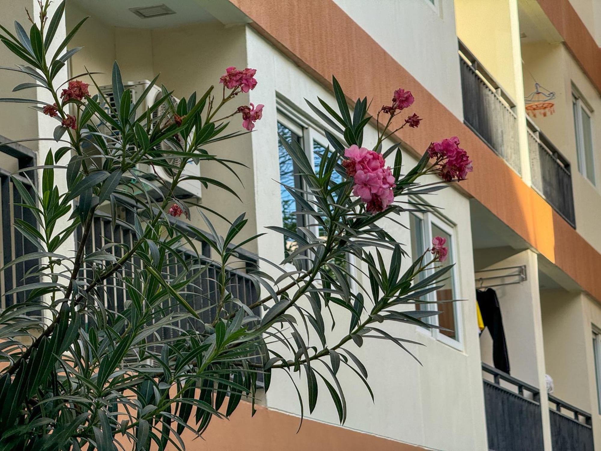 卧室直达泳池 全网最低价 到中天海滩5分钟 Bãi biển Jomtien Ngoại thất bức ảnh
